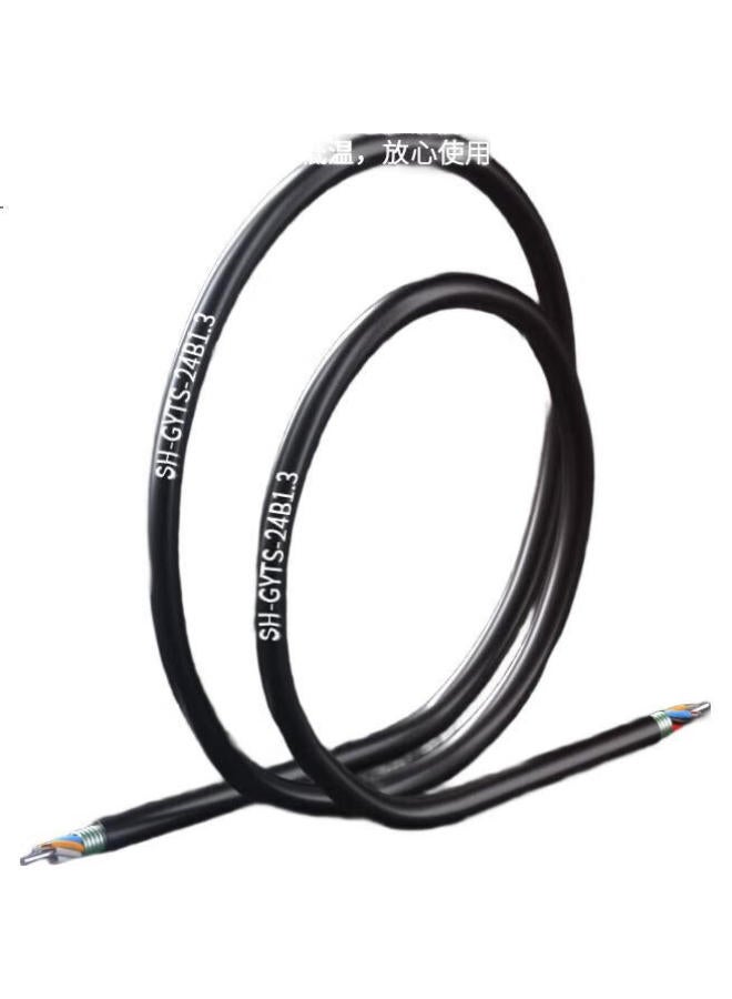 Suhao (Suhao) Gyts Outdoor Fiber Optic Cable Telecom Grade National Standard Cable 24 Core Cable Layer Twisted Single Mode Armored Cable 24 Core Outdoor Fiber Optic Cable Gyts-24B1.3 - Image 3