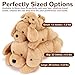 gnomantic Yellow Lab Weighted Stuffed Animals 28 Inch 50 Pounds Weighted Plushies Labradoodle Stuffed Animal Large Dog Plush Pillow Cute Plush Toy Gifts for Kids Adults 28 50 lbs - Image 4
