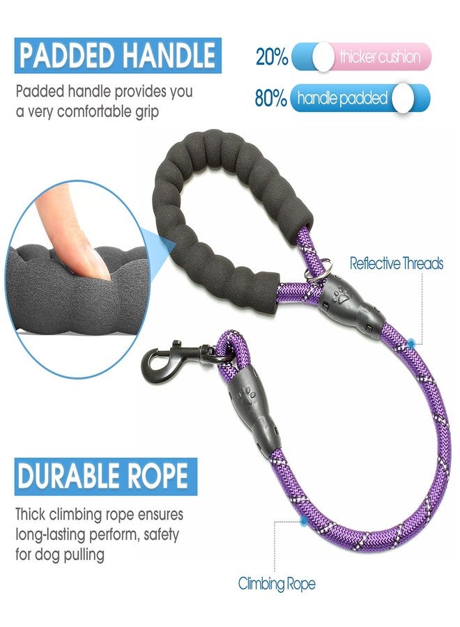 BAAPET 2/4/5/6 FT Dog Leash with Comfortable Padded Handle and Highly Reflective Threads for Small Medium and Large Dogs (2FT-1/2'', Purple) - Image 2