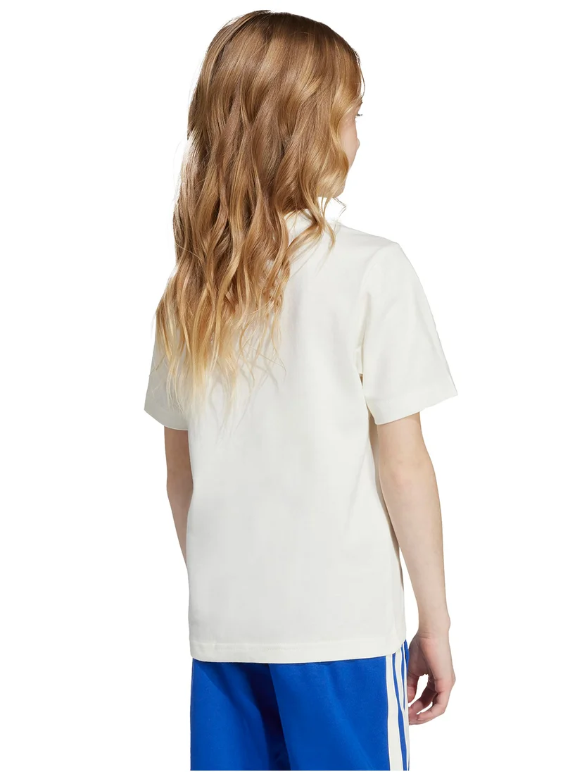Adidas Kids Adiraptor Graphic T-Shirt