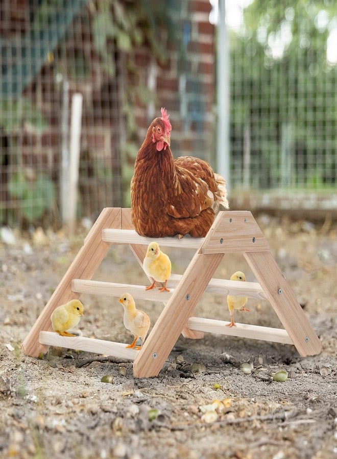 PETSFIT Chick Perch Prevent Rotation Design, Strong Wooden Chicken Roosting Bar, Easy to Assemble and Clean, Fun Toys for Chick Indoor/Outdoor Use - Image 2