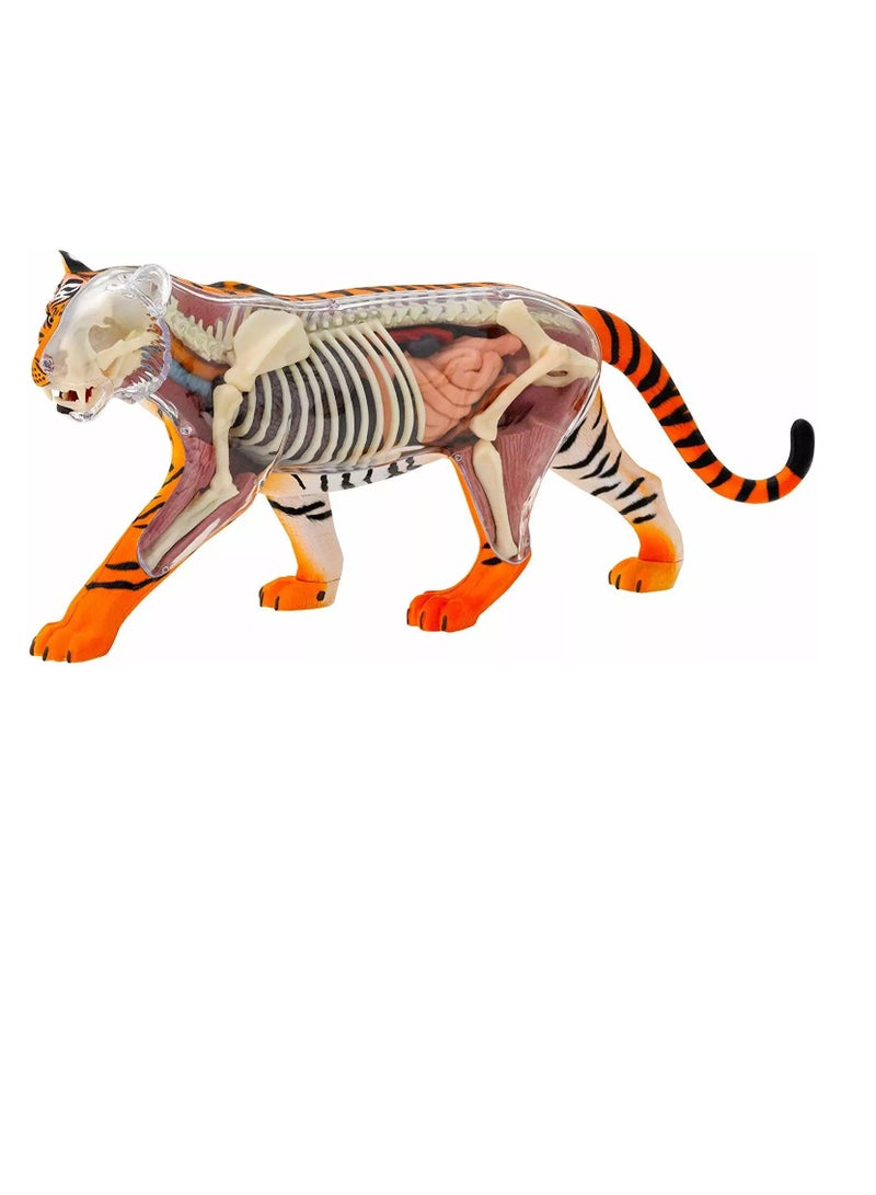 Thames & Kosmos Tiger: Tiger Anatomy Model to Explore the Inner Workings of a Tiger, STEM Learning Kit - Image 2