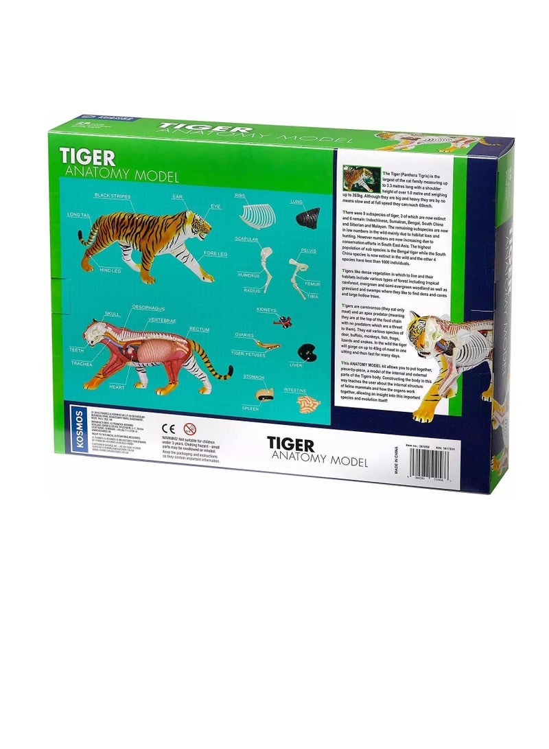 Thames & Kosmos Tiger: Tiger Anatomy Model to Explore the Inner Workings of a Tiger, STEM Learning Kit - Image 5