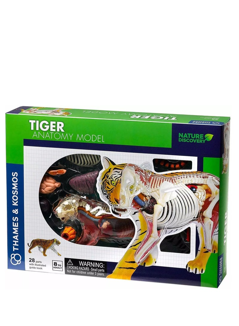 Thames & Kosmos Tiger: Tiger Anatomy Model to Explore the Inner Workings of a Tiger, STEM Learning Kit - Image 1