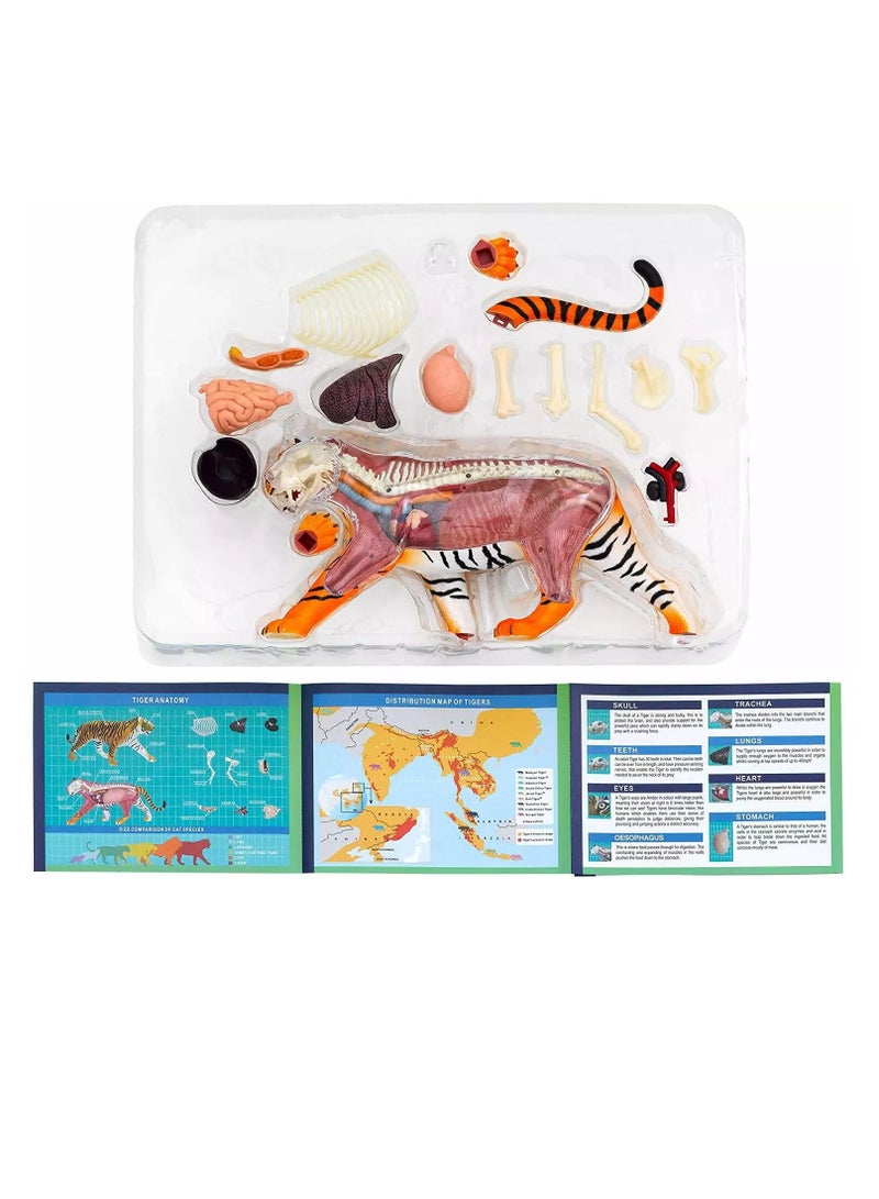 Thames & Kosmos Tiger: Tiger Anatomy Model to Explore the Inner Workings of a Tiger, STEM Learning Kit - Image 4