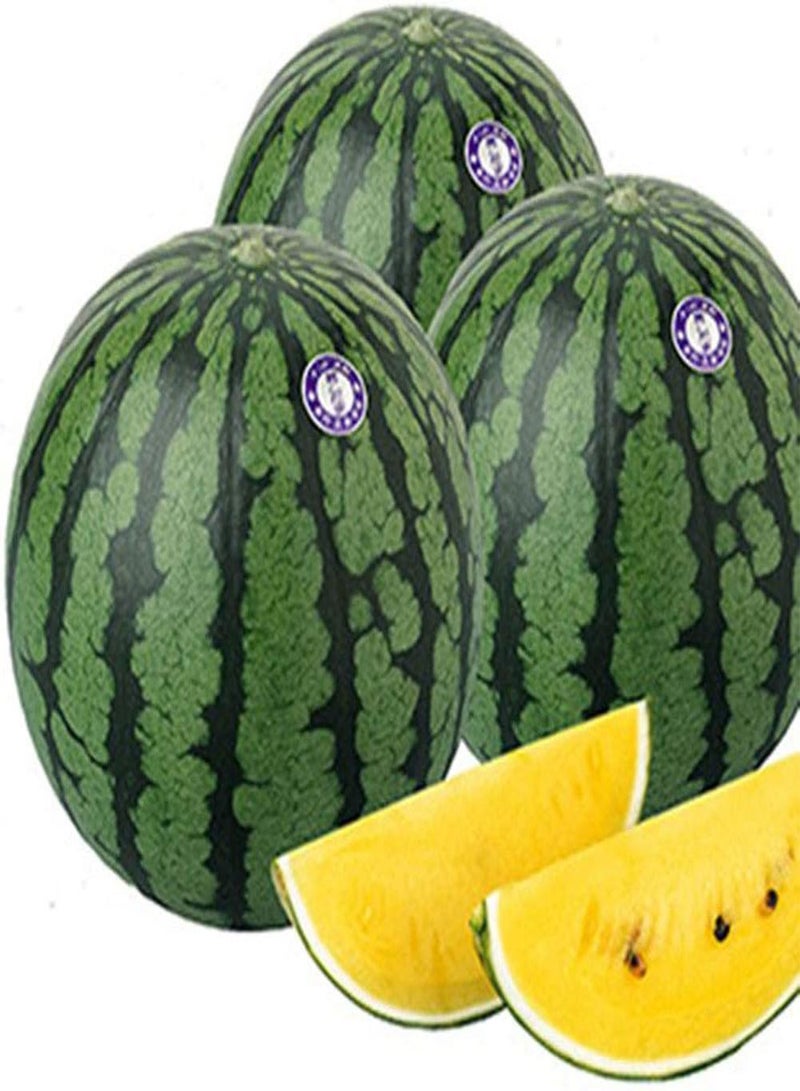 GGOOT Large Watermelon Seeds 8pcs - Image 4
