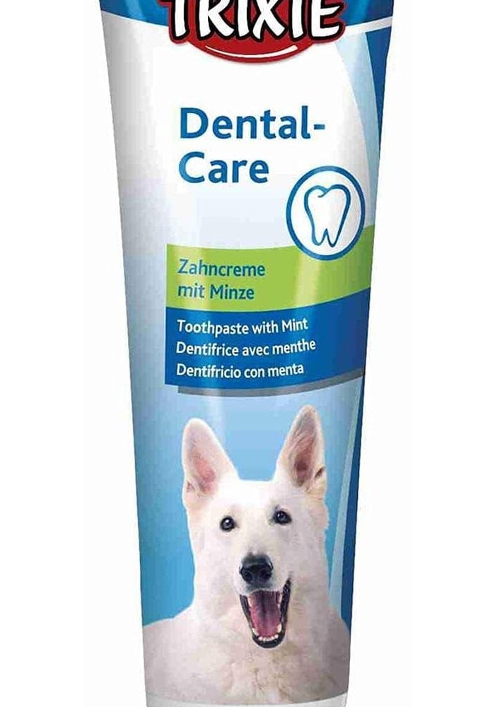 Trixie Mint Toothpaste for Dogs 100g - Image 1