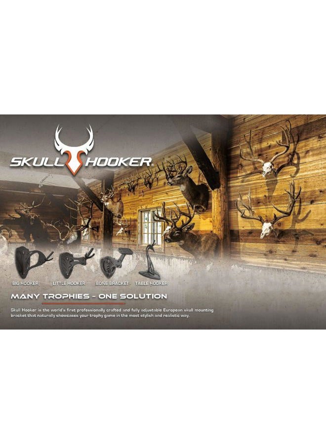 Skull Hooker Little European Trophy Mount - Perfect Kit for Hanging and Mounting Taxidermy Deer Antlers and other s for Display – Robust Brown - Image 5