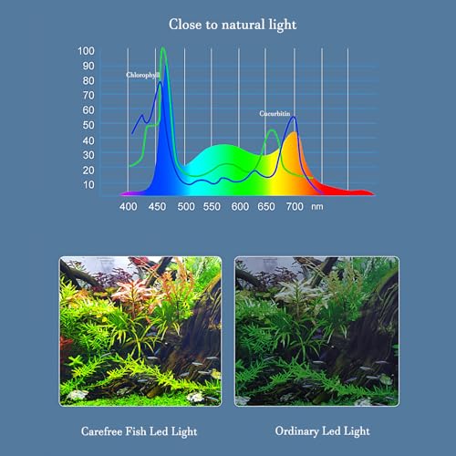 Carefree Fish Aquarium LED Light USB 5V1A RGBW 5730 Timmer 1~10Gal Fish Tank Clip Light 10 Brightness Levels 8W with USB Port (Include UL Certification Power Adapter) - Image 2