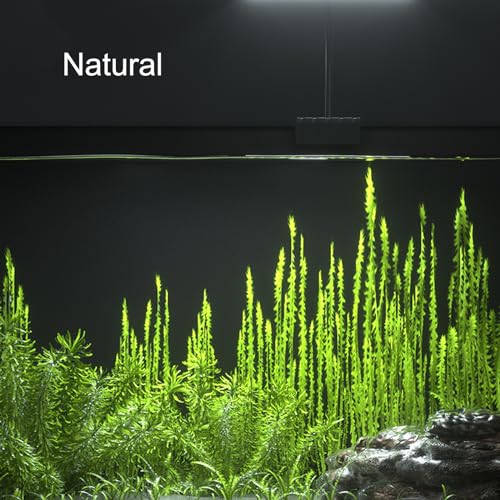 Carefree Fish Aquarium LED Light USB 5V1A RGBW 5730 Timmer 1~10Gal Fish Tank Clip Light 10 Brightness Levels 8W with USB Port (Include UL Certification Power Adapter) - Image 5