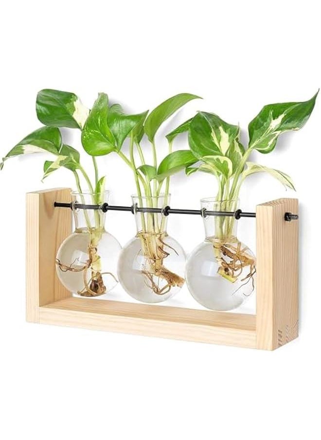 Plant Propagation Station with Wooden Stand, Wall Hanging Glass Planter Tabletop Terrarium Bulb Vase for Hydroponics Plants Home Office Decor (Beige) - pzsku/ZCCE9072342CFF3F8BAFBZ/45/_/1726629059/be6552ec-933c-4b4c-b43a-f193656cbde7