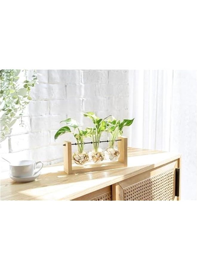 Plant Propagation Station with Wooden Stand, Wall Hanging Glass Planter Tabletop Terrarium Bulb Vase for Hydroponics Plants Home Office Decor (Beige) - pzsku/ZCCE9072342CFF3F8BAFBZ/45/_/1726629089/71f59cbf-f6f0-4b75-86a0-3aae02ef64a8