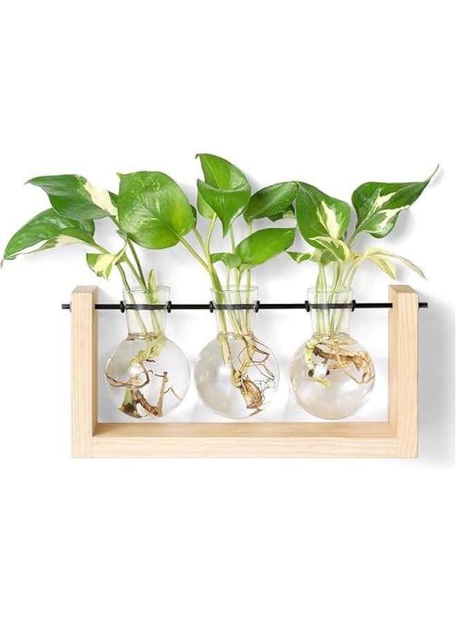 Plant Propagation Station with Wooden Stand, Wall Hanging Glass Planter Tabletop Terrarium Bulb Vase for Hydroponics Plants Home Office Decor (Beige) - pzsku/ZCCE9072342CFF3F8BAFBZ/45/_/1726629150/017c5f49-bf1e-4f07-aed9-254c8fdfc173