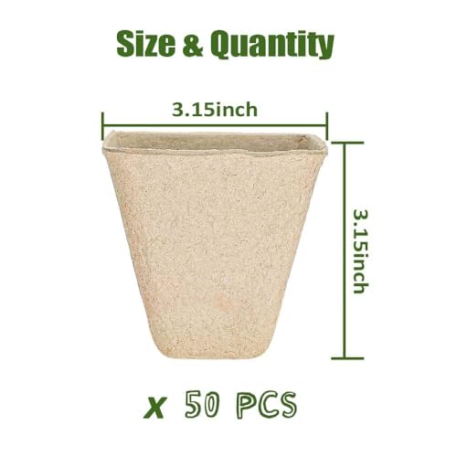 MTRoyaldia 50 Packs Square Peat Pots,3.15 Inch Seed Starting Pots With Drainage Holes Square Nursery Pot,Biodegradable Eco-Friendly Round Plant Seed Starter Peat Pots Germination Seedling Trays,Brown - Image 2
