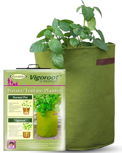 Bosmere Tierra Garden 50-VIG12 Haxnicks Vigoroot Tomato/Potato Planter - Image 1