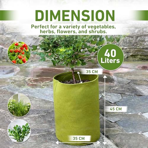 Bosmere Tierra Garden 50-VIG12 Haxnicks Vigoroot Tomato/Potato Planter - Image 4