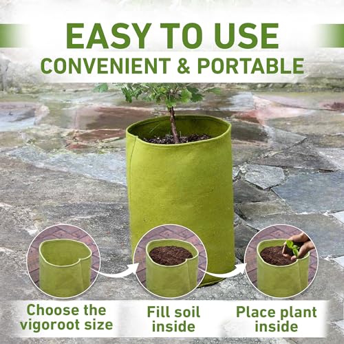 Bosmere Tierra Garden 50-VIG12 Haxnicks Vigoroot Tomato/Potato Planter - Image 3