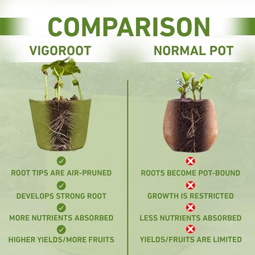 Bosmere Tierra Garden 50-VIG12 Haxnicks Vigoroot Tomato/Potato Planter - Image 5