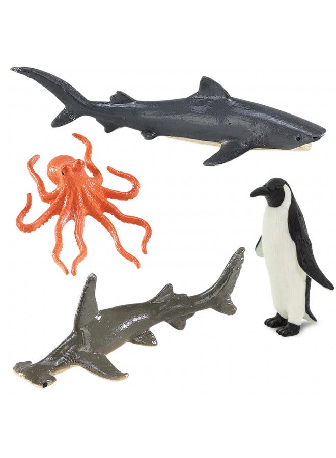 Safari Ltd. Safari Ltd Ocean TOOB Comes With 12 Different Hand Painted Animal Toy Figurine Models Including Sea Lion, Eagle Ray, Starfish, Turtle, Penguin, Octopus, Humpback Whale, Sperm Whale, Moray Eel, Hammerhead Shark, Tiger Shark, and Dolphin For Ages 5 and  - Image 5