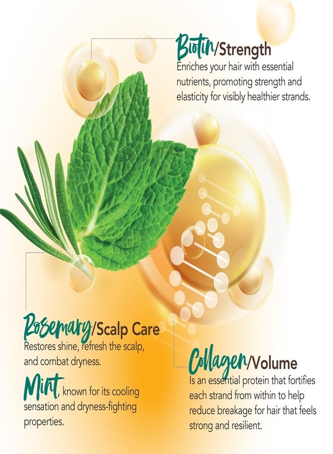 Every Strand Biotin and Collagen Styling Creme with Rosemary Mint, 8 Oz, Volumizing Hair Cream for Thin and Fine Hair, Adds Body and Fullness with Long-Lasting Flexible Hold - Image 3