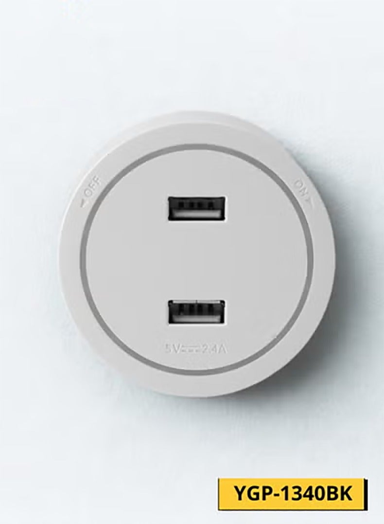 ACCEPT 10A 2X USB Plug Socket that works on electrical outlets - Image 1