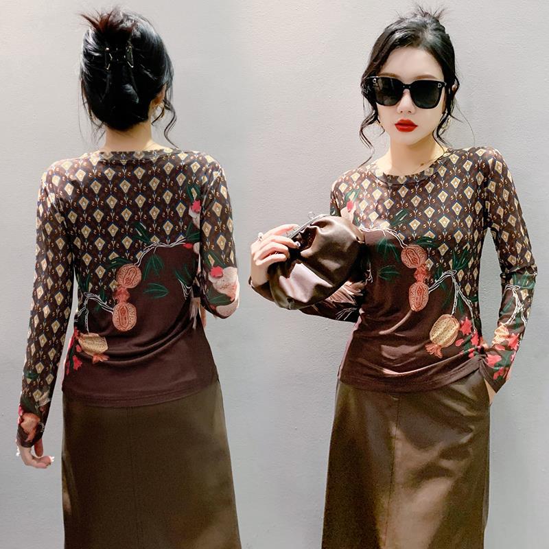 Round Neck Long Sleeve Skin-Friendly High Elastic Printed Mesh T-Shirt Female 2024 Spring Fashion Temperament Long Sleeve Slimming Bottoming Shirt - Image 4