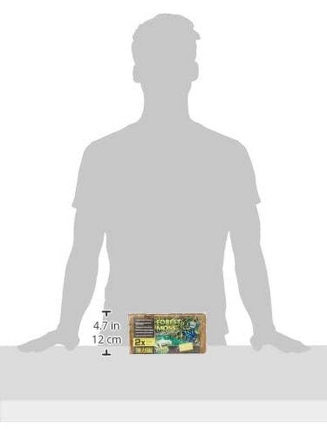 Exo Terra Exo Terra Forest Plume Moss, 7 Quarts, 2-Pack  - Image 3