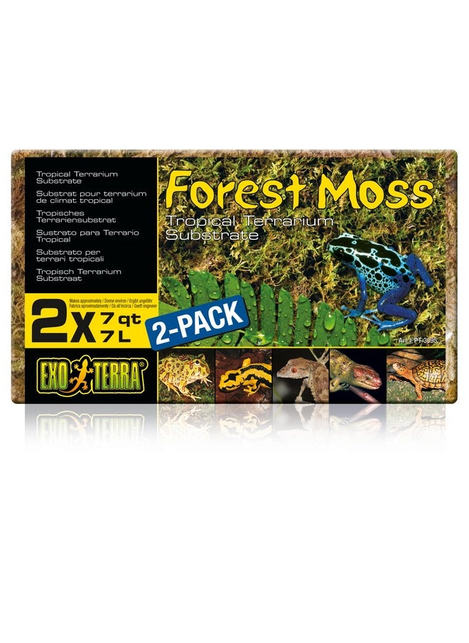 Exo Terra Exo Terra Forest Plume Moss, 7 Quarts, 2-Pack  - Image 1
