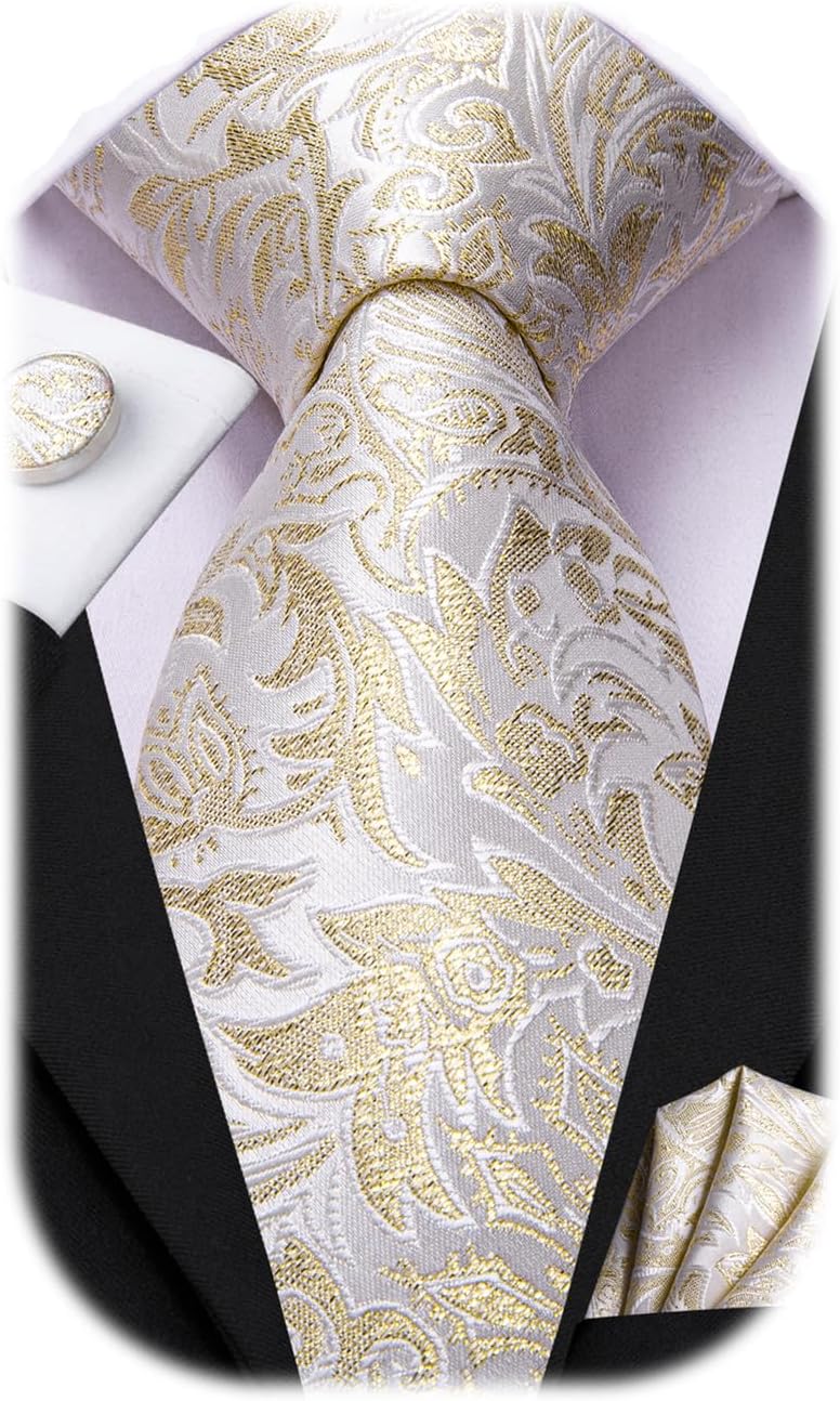 Dubulle Mens Paisley Striped Tie WOVEN Necktie for Men and Handkerchief Cufflinks Set Wedding Formal Business - Image 1