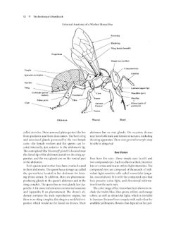 The Beekeeper's Handbook  - Image 3