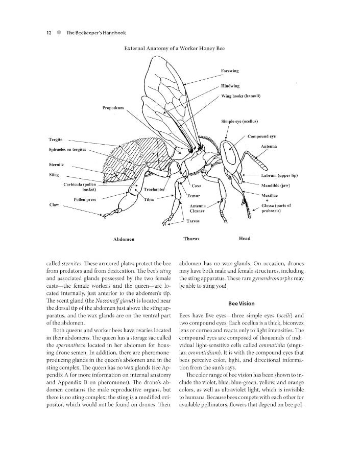 null - The Beekeeper's Handbook - Image 1