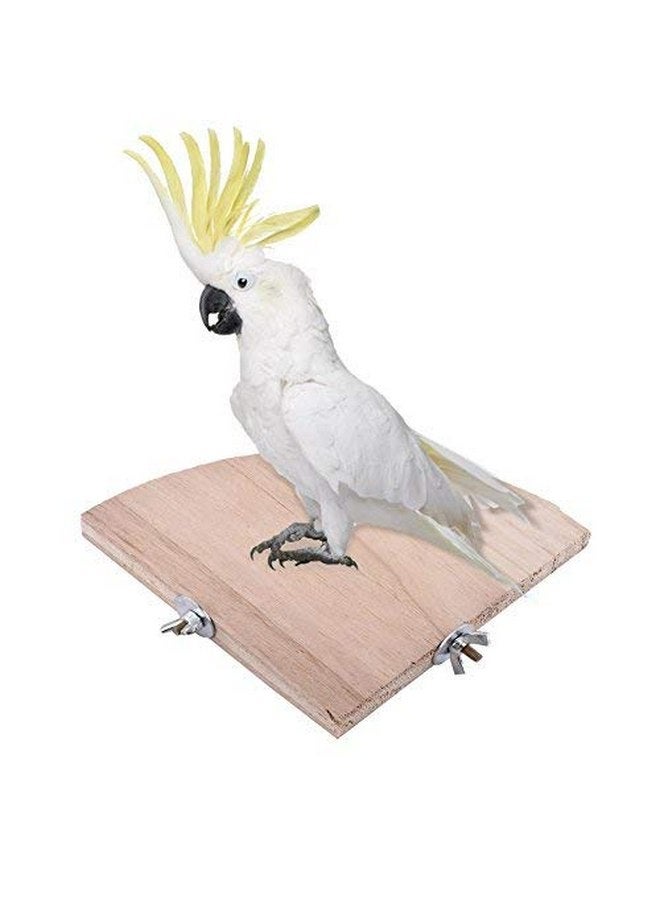 فديت مروحة خشبية على شكل طائر من Fdit بتصميم للببغاء والكوكتيل والباراكيت - Image 4