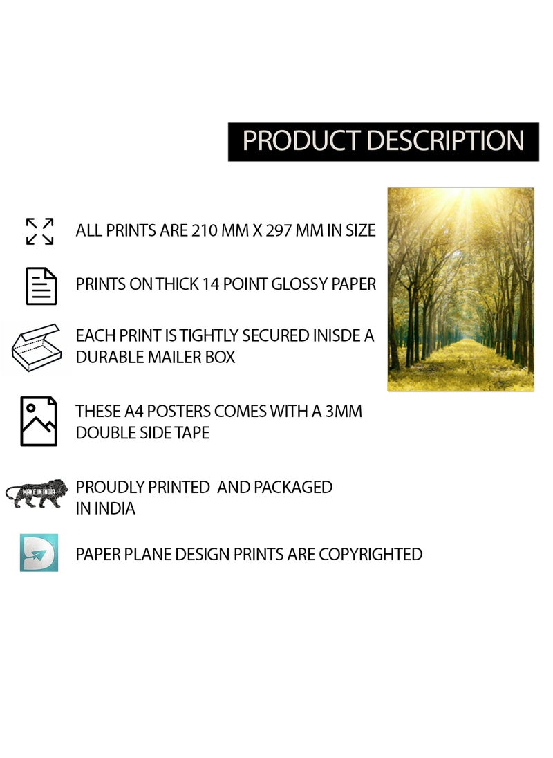 Paper Plane Design - PAPER PLANE DESIGN Landscape Wall Poster for Home Decor Living Room Bed Room Set of 12 A4 Size (29 X 21 cm) - Image 1