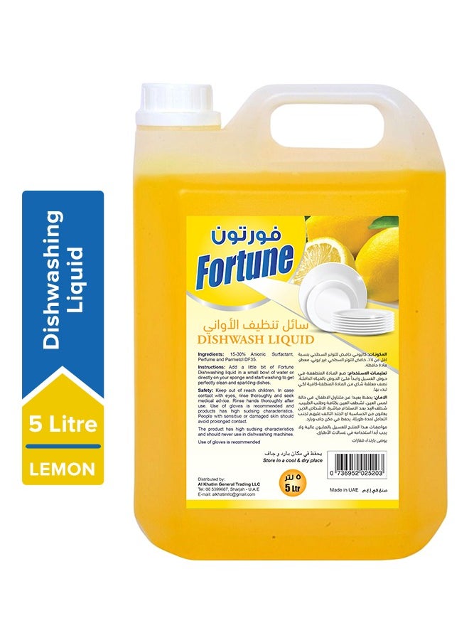 Fortune Fortune Dishwashing Liquid 5L  - Image 1