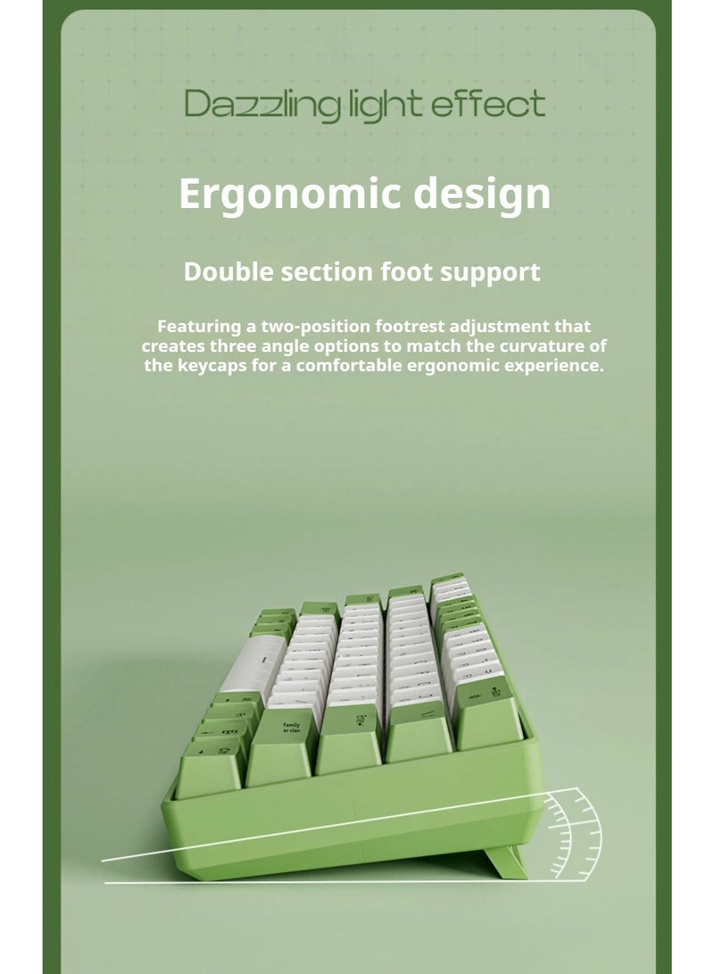 Eweadn G61 Wireless, Bluetooth & Wired Gaming Mechanical Keyboard - Rainbow LED Lighting - Anti-Ghosting, Detachable USB-C, Double-Shot Keycaps, 61 Keys Ultra-Compact - Image 5