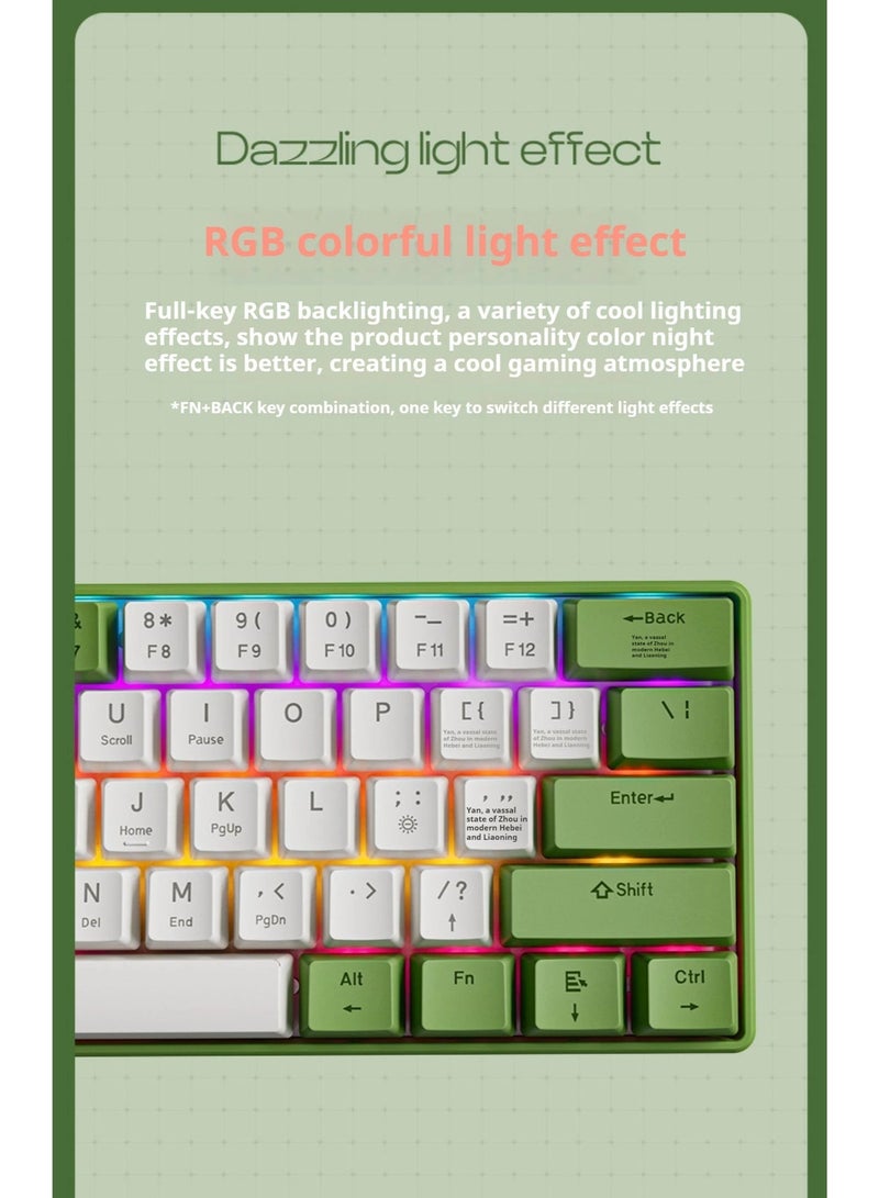 Eweadn G61 Wireless, Bluetooth & Wired Gaming Mechanical Keyboard - Rainbow LED Lighting - Anti-Ghosting, Detachable USB-C, Double-Shot Keycaps, 61 Keys Ultra-Compact - Image 5