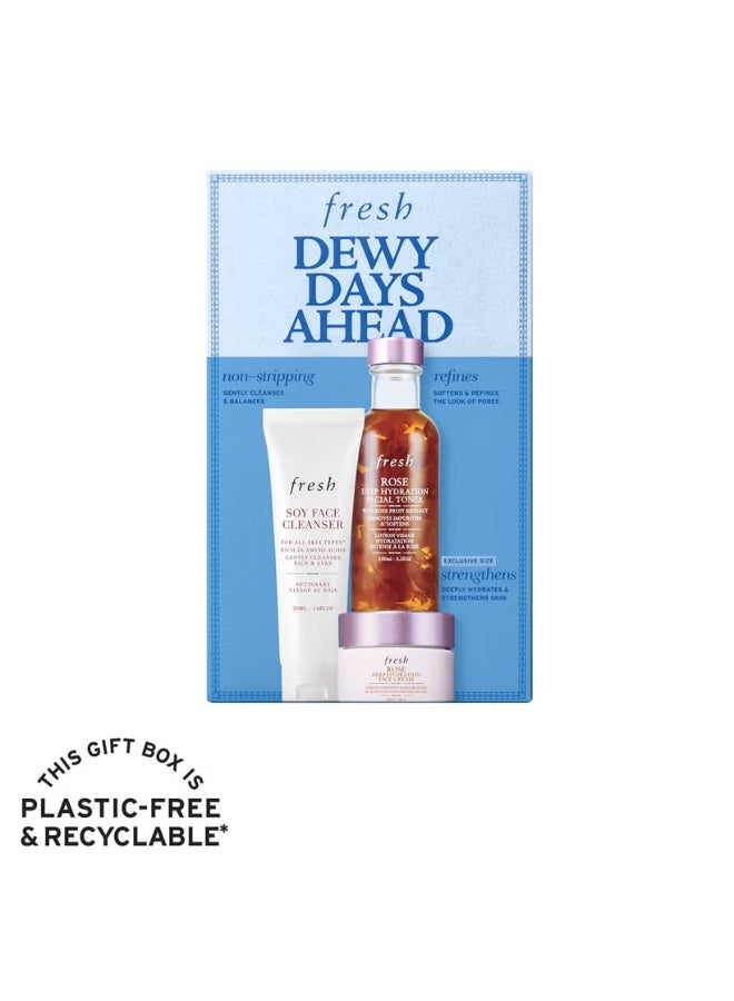 Fresh Dewy Days Ahead Set - Image 4