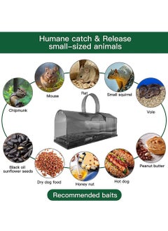 HomarKet 2-Piece Mouse Trap Catch and Release Rat Cage Traps with HandleFor Indoor and Outdoor  - Image 2