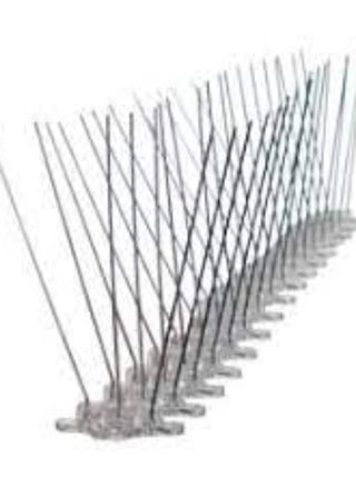 KNP Bird spikes with a plastic base in a pack of 20 provide an extensive solution for preventing birds from perching and nesting on various surfaces. - pzsku/ZCCF06925D10F9985A5EDZ/45/1746625240/f9950fc4-4c0b-47c9-956c-c0286835b3a4