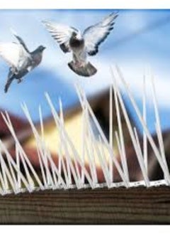 KNP KNP Bird spikes with a plastic base in a pack of 20 provide an extensive solution for preventing birds from perching and nesting on various surfaces.  - Image 4