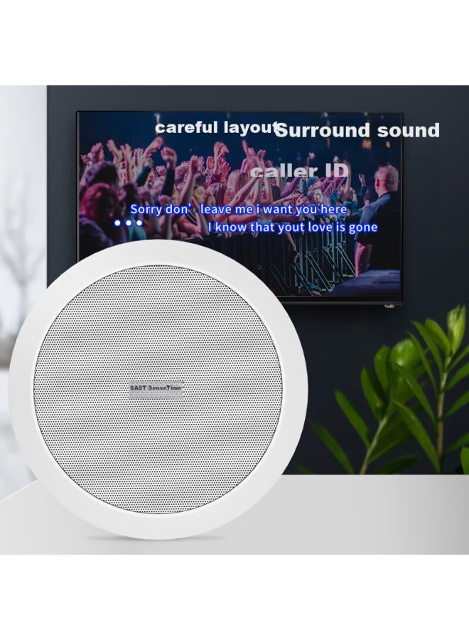 SAST Sast Z4-6 Coaxial Constant Impedance Ceiling Speaker, Background Music Public Address System, Home Theater High-fidelity Ceiling-mounted Speaker, 8 Inches - Image 5