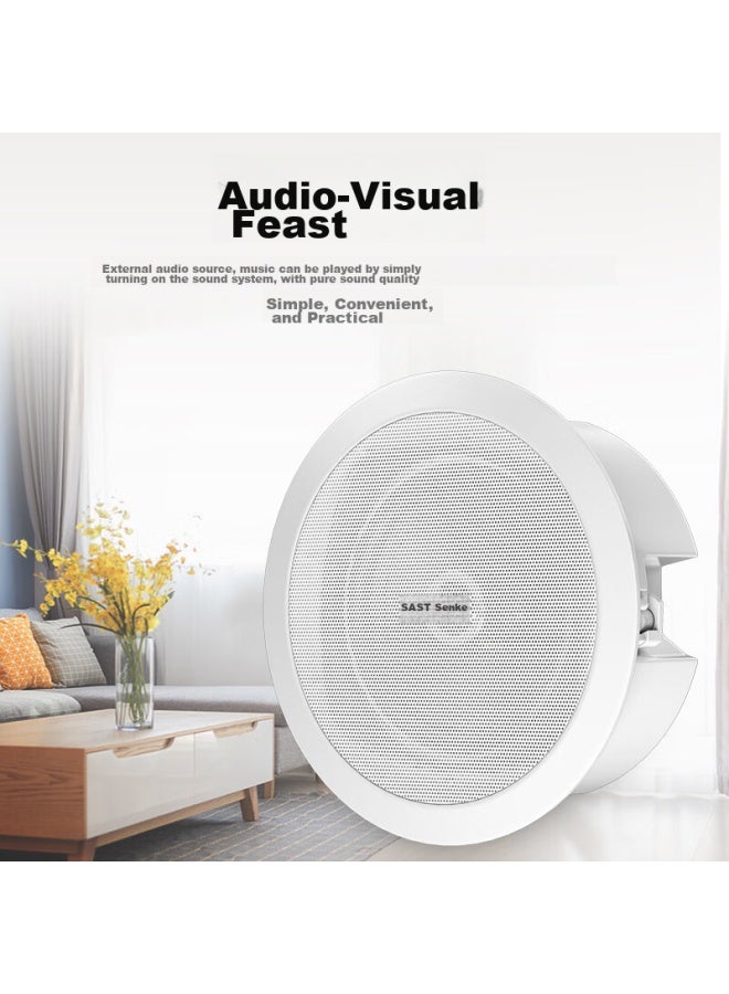 SAST Sast Z4-6 Coaxial Constant Impedance Ceiling Speaker, Background Music Public Address System, Home Theater High-fidelity Ceiling-mounted Speaker, 8 Inches - Image 4