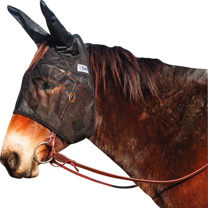 Cashel QR Mule Warmblood STD Ear QRMWBSE Black - Image 1
