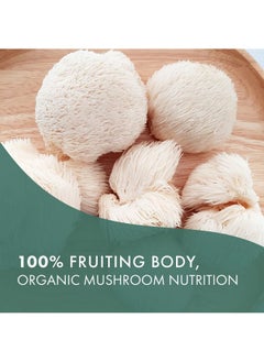 PURE ESSENCE LABS Mypure Lions Mane Organic Mushroom Supplement 100% Real Mushroom Extract For Immune Support Combat Stress Build Energy Best Immune Booster For Men And Women (60 Capsules)  - Image 4