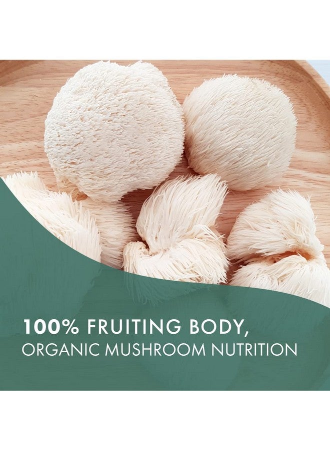 PURE ESSENCE LABS Mypure Lions Mane Organic Mushroom Supplement 100% Real Mushroom Extract For Immune Support Combat Stress Build Energy Best Immune Booster For Men And Women (60 Capsules) - Image 4