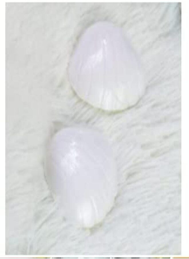 PACK OF 3 SOAP IN THESE SHAPES Rose Flower Soap Bird Shaped Soap Shell Soap