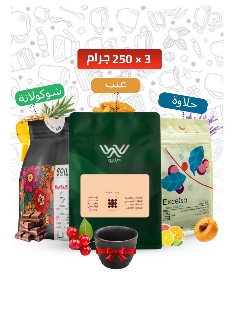 Specialty Coffee bean Collection Box for Drip and Espresso Corps coffee v60 Set of 3 with cup