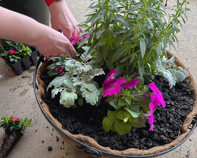 Bosmere Replacement Coco Fiber Basket Liner for 20 Round Baskets Natural Brown - Image 2