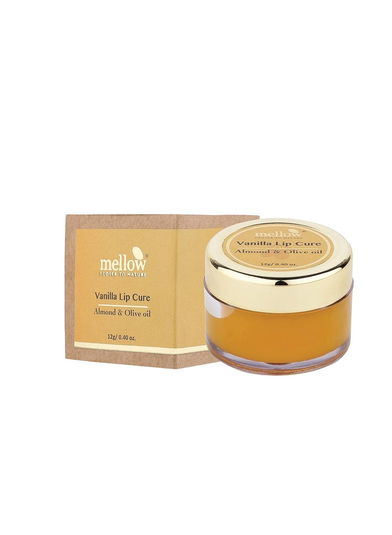 Mellow Herbals Ayurvedic Vanilla Lip Cure 12Gm for Dry Chapped Lips - Image 1