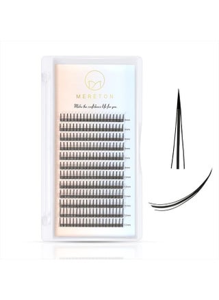 Cluster Lash Extensions C curl 8-12mm Mixd Single lashes natural look A Shape False lashes fairy eyelashes individual (A Shape 0.07 C Mix 8-12) - pzsku/ZCCFDAF2C02DEA13C6360Z/45/_/1686832355/2274bec4-aa4c-4567-a2ac-7b094d45f8bf